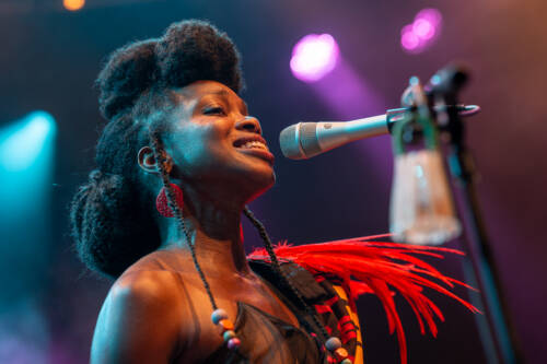 Lúcia de Carvalho 20250701210011