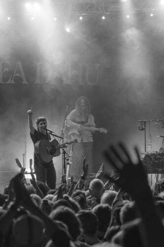 Black Sea Dahu 17