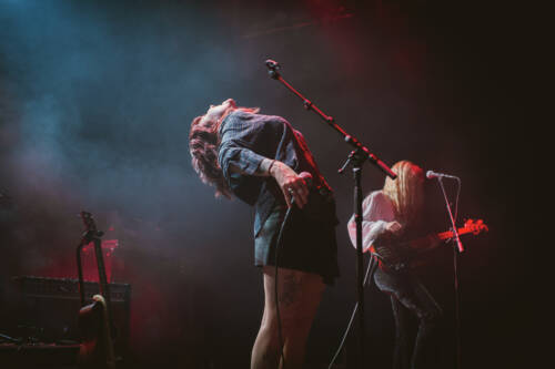 Velvet Two Stripes Friedberg 17